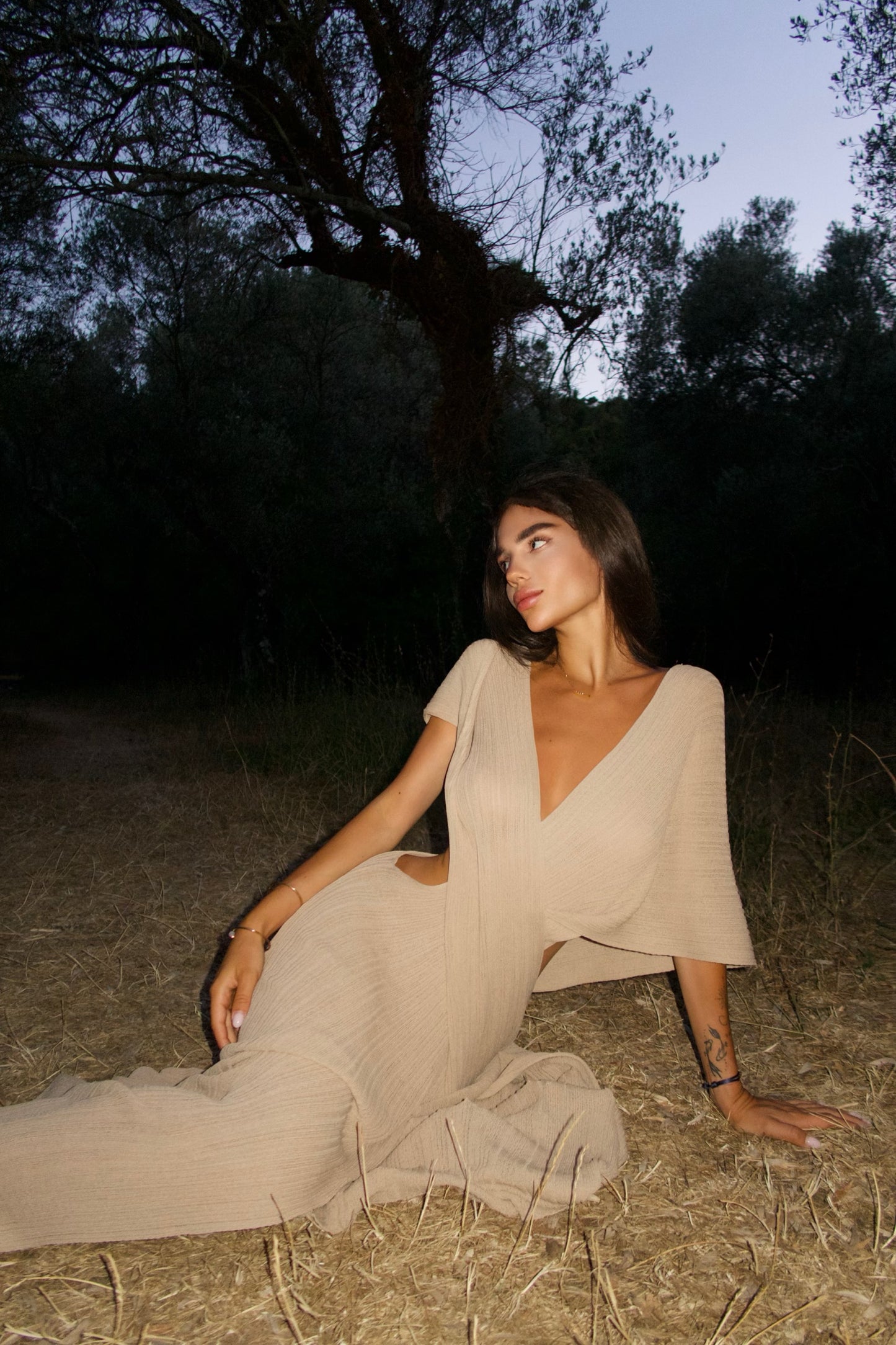 Lora Beige Dress